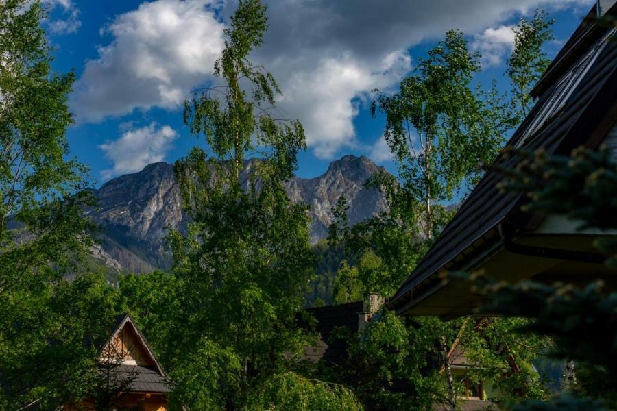 Apartment Bordeaux Szymoszkowa Residence Zakopane Косцелиско Экстерьер фото